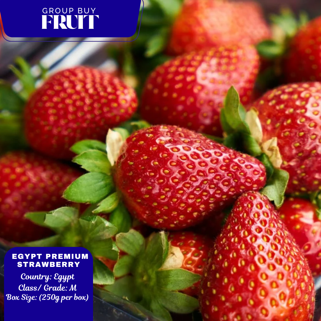 (FRUITS) EGYPT PREMIUM STRAWBERRY 250GM